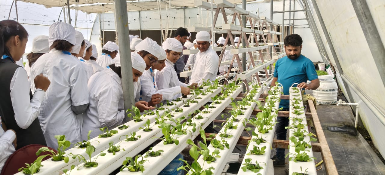 One-Day Training on Hydroponic Farming Skills was successfully conducted on 15/12/2025 at Smt. Sharadchandrika Suresh Patil College of Pharmacy, Chopda, under the IQAC Cell.