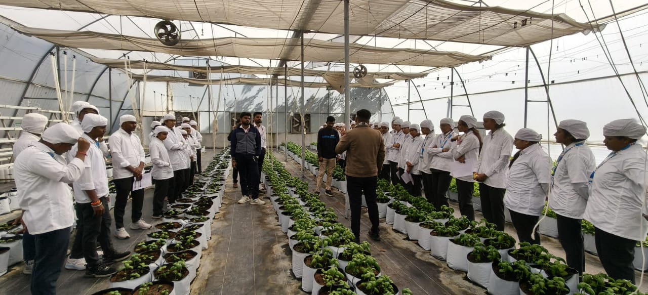 One-Day Training on Hydroponic Farming Skills was successfully conducted on 15/12/2025 at Smt. Sharadchandrika Suresh Patil College of Pharmacy, Chopda, under the IQAC Cell.